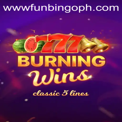 Unveiling the Thrilling World of BurningWins and FunBingo