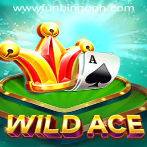 Discovering the Thrills of WildAce: A Detailed Guide